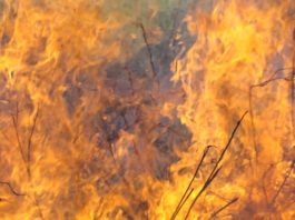 Wildfire in Belize