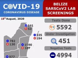 511 Cases Of COVID-19 in Belize 08-19-2020