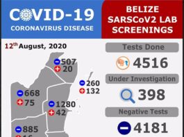 86 new positive COVID-19 cases in Belize08-12-2020