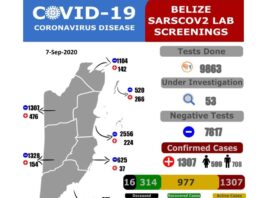 46 NEW CASES, 13 RECOVERED AND ONE ADDITIONAL DEATH