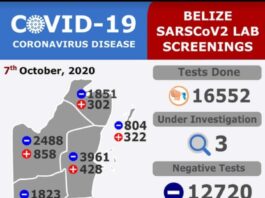 67 new COVID-19 cases detected